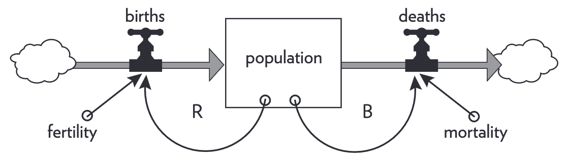 Earth's population stock-and-flow diagram